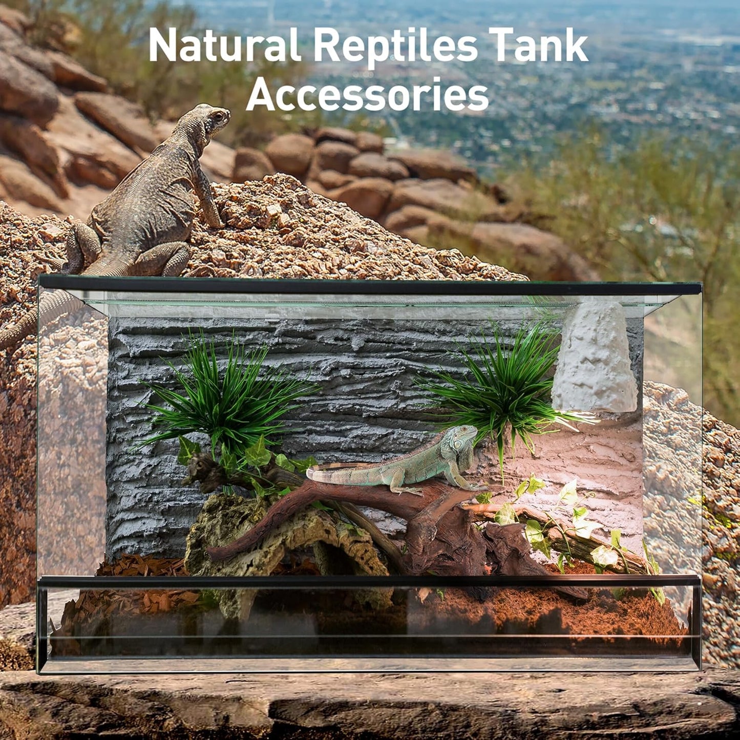 WDEFUN Natural Driftwood for Aquarium Decor, 3-Piece 7''-11'' Large Driftwood for Decorations on Fish Tank, Reptiles Bearded Dragon Accessories or Air Plants