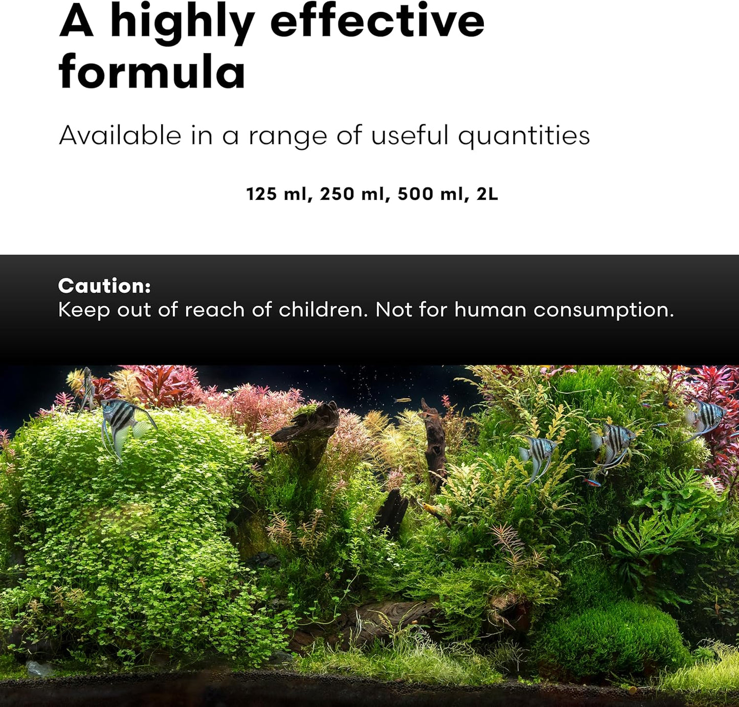 Brightwell Aquatics Shrimp FlorinMulti – Complete Plant Nutrient Supplement for Shrimp & Freshwater Aquariums – Supports Growth, Color & Health – Copper-Free, 500 ml