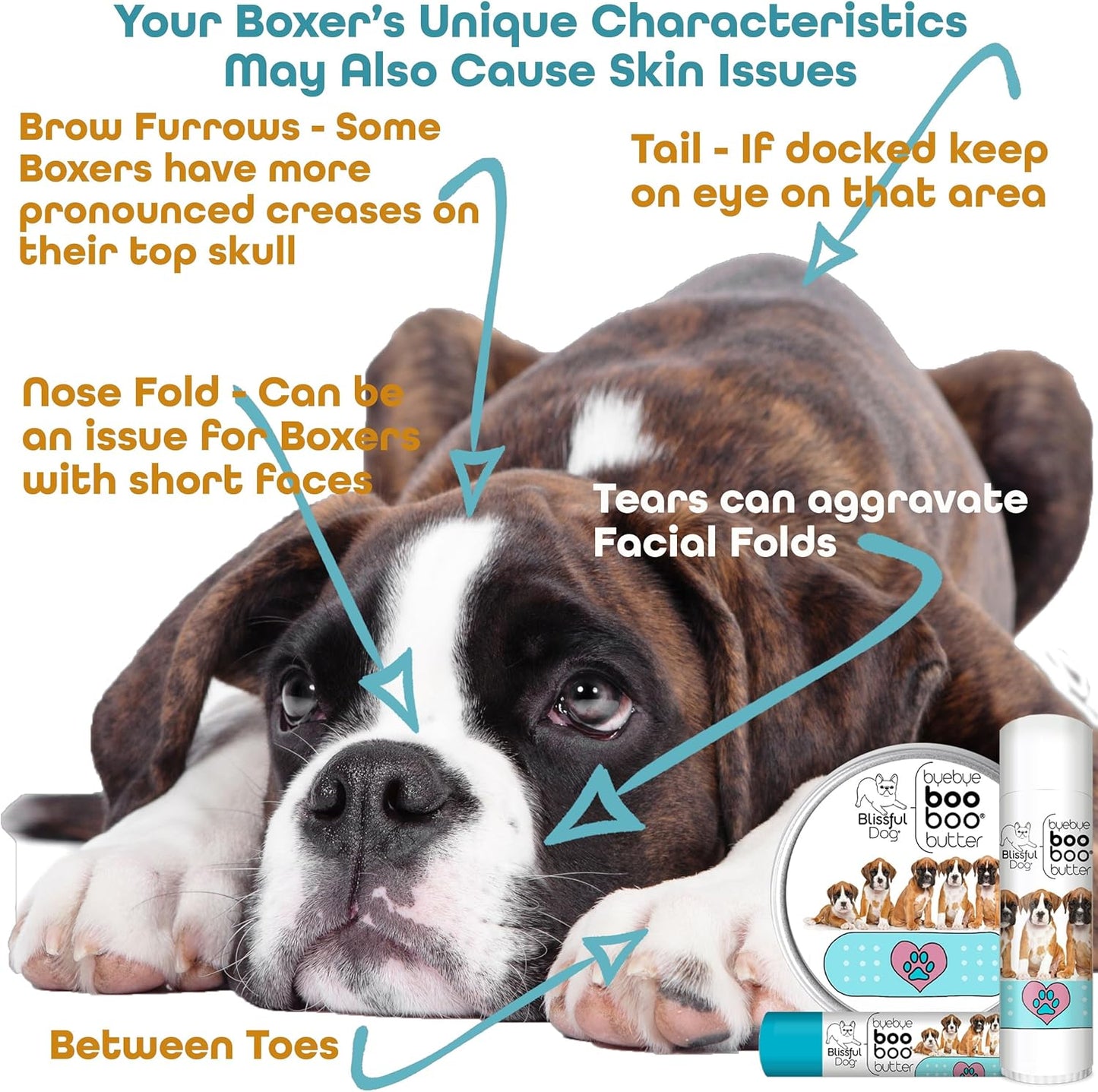 The Blissful Dog 4 oz TIN Boxer Booboo Butter