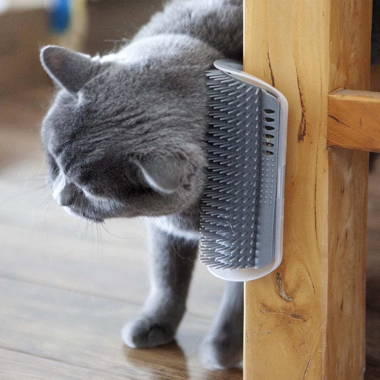 Extended (6.1") 2 Pack Self Grooming Cat Brush - Wall Corner Scratcher with Massage Combs for Long and Short Fur Cats, Kittens (Grey)