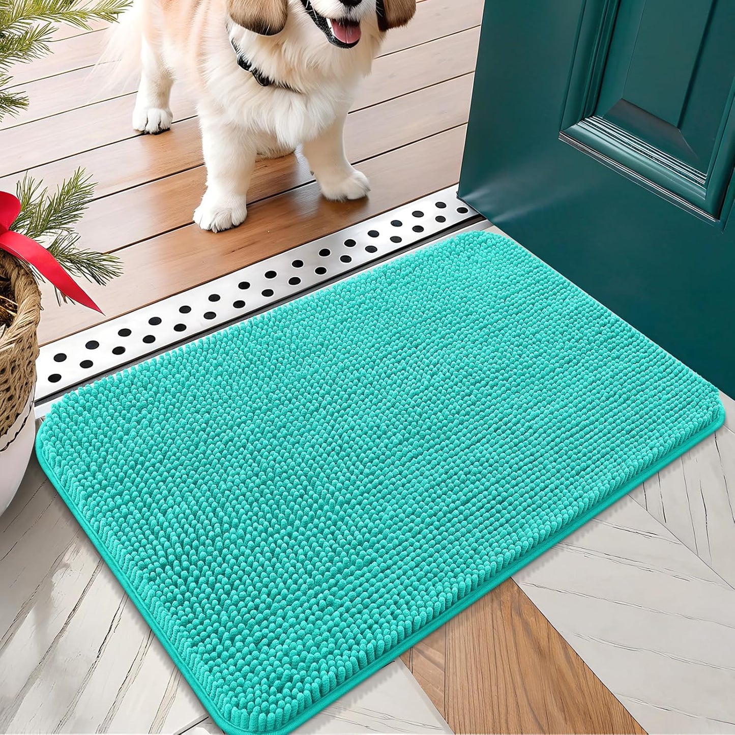 OLANLY Dog Door Mat for Muddy Paws 24x16, Absorbs Moisture and Dirt, Absorbent Non-Slip Washable Doormat, Quick Dry Chenille Mud Mat for Dogs, Entry Indoor Entryway Carpet for Inside Floor, Teal