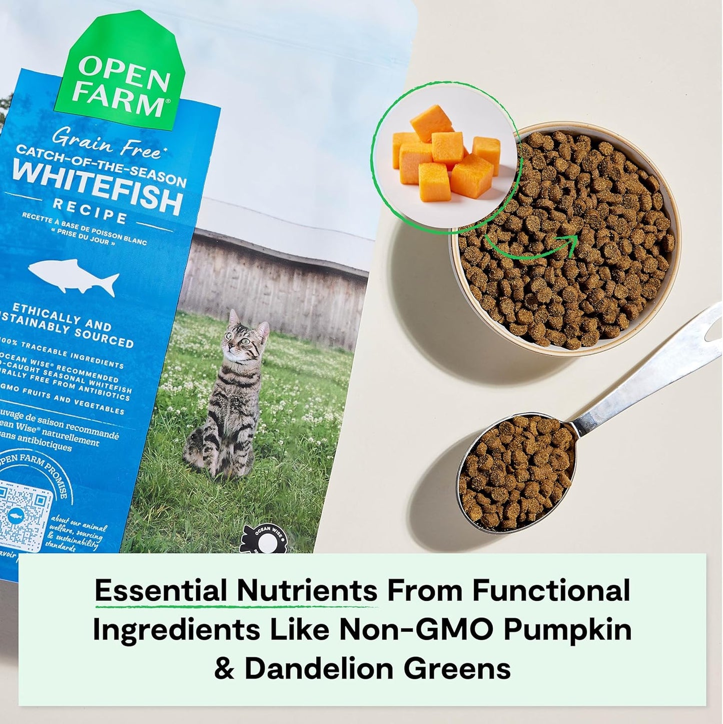 Open Farm Catch-of-The-Season Whitefish Grain-Free Dry Cat Food, Wild-Caught Fish Recipe with Non-GMO Superfoods and No Artificial Flavors or Preservatives, 8 lbs