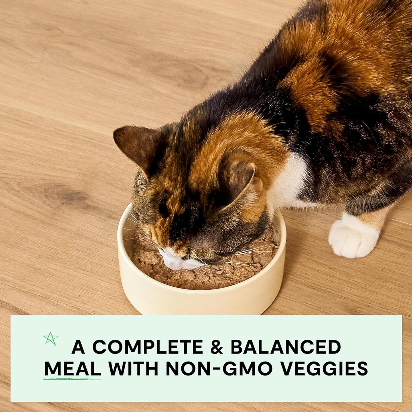 Open Farm Canned Kitten Food, Paté for Complete & Balanced Nutrition, Grain-Free and Legume-Free Wet Kitten Food, Chicken & Salmon Recipe, 5.3oz Cans (Case of 12)