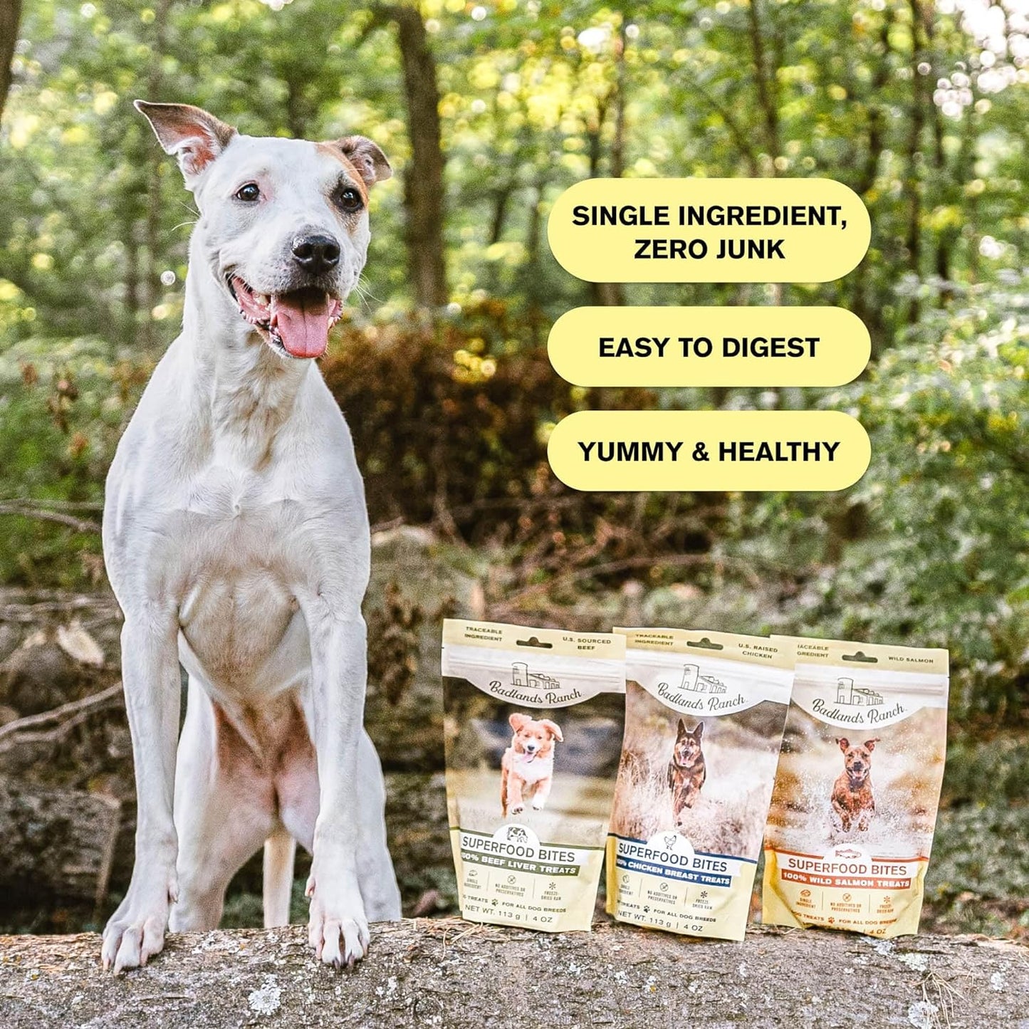 BADLANDS RANCH - Superfood Bite, Freeze-Dried Raw Dog Treats - Protein Rich, Train & Reward, Traceable Single Ingredient by Katherine Heigl (Chicken Breast)