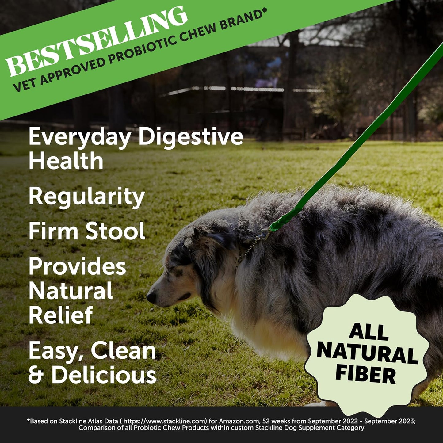 Pet Honesty Pumpkin Fiber Powder Supplement for Dogs - All Natural Dog Probiotic with Psyllium Husk, Pumpkin Seeds and Apple Pectin for Healthy Digestion (90 Scoops)