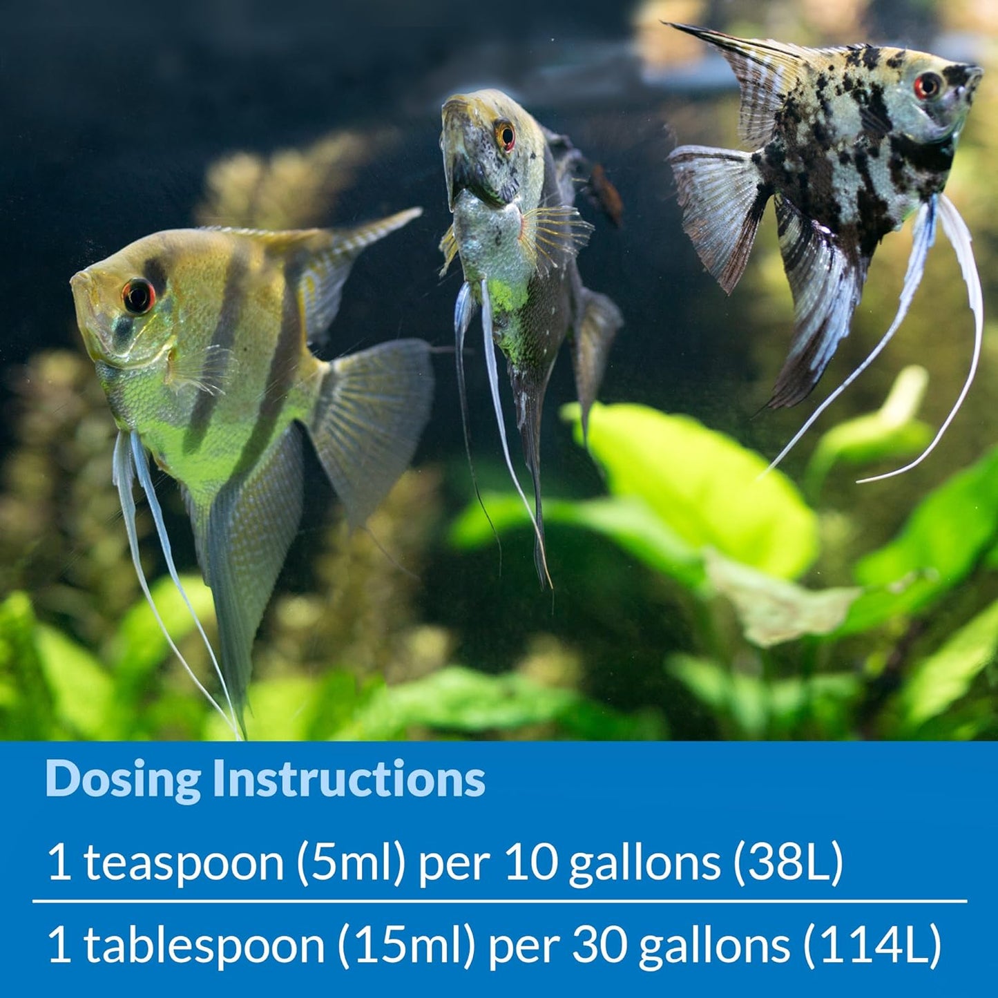 API STRESS COAT Aquarium Water Conditioner 5-Gallon Bottle