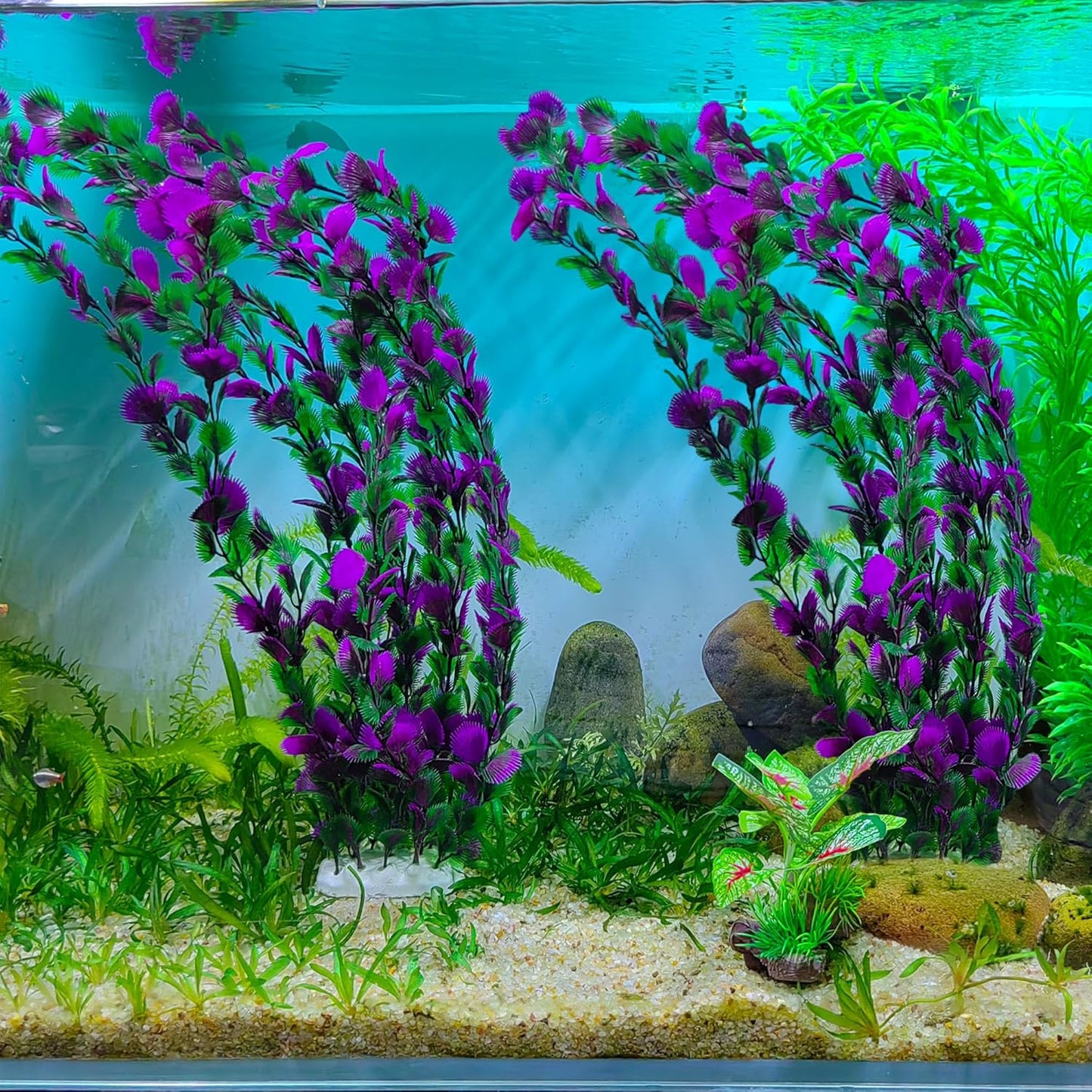 20.47 Inch Tall Aquarium Plants – Large Lifelike Artificial Fish Tank Decorations, 2 Pcs Fish Tank Plants Plastic，Durable & Safe for Freshwater/Saltwater Aquariums (Purple (Style C))