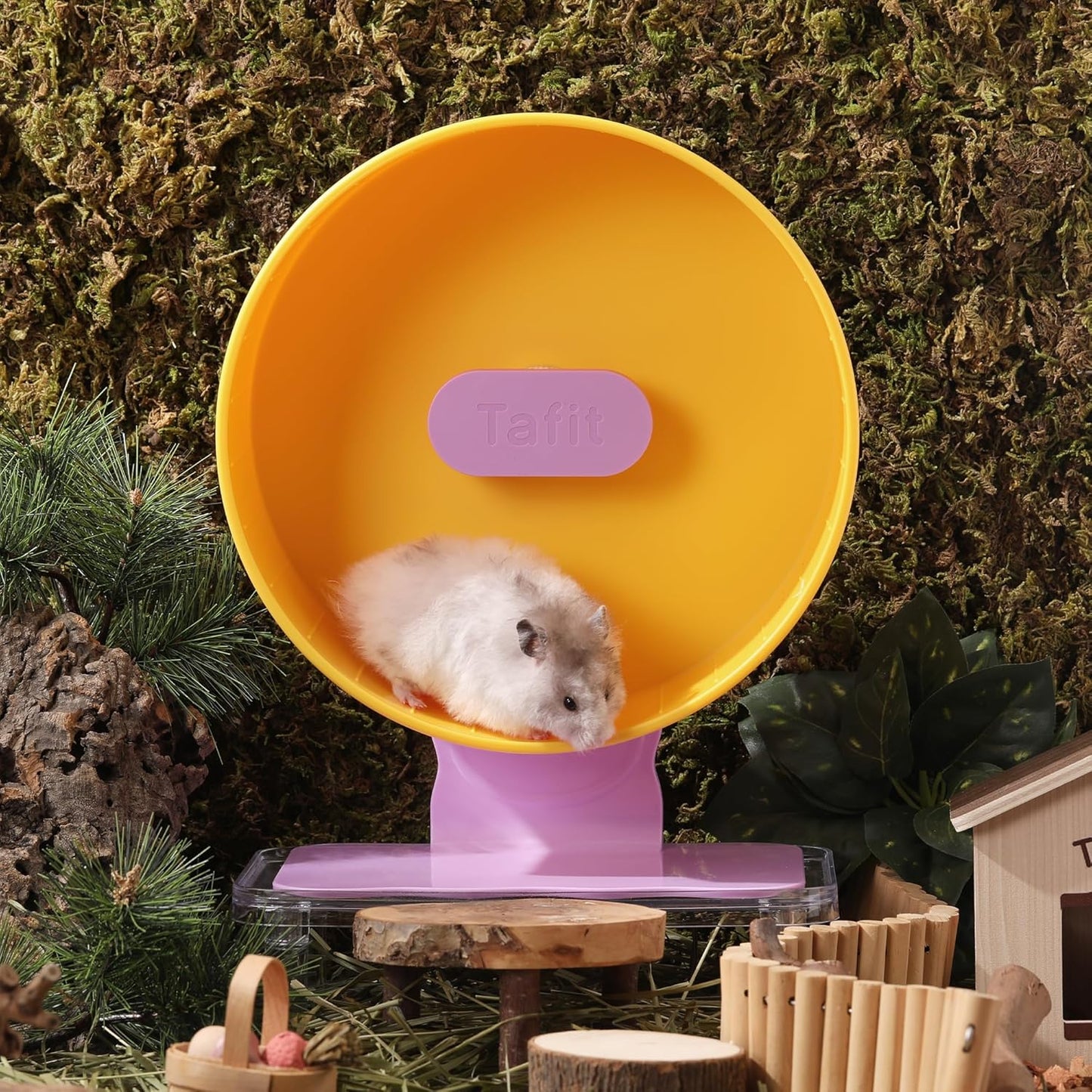 Silent Hamster Wheel 8.7 Inch Dual-Bearings Small Animals Quiet Running Exercise Wheels, Height Adjustable for Dwarf Hamsters, Gerbils, Mice, Hedgehog, or Other Small Pets,Passionfruit Yellow