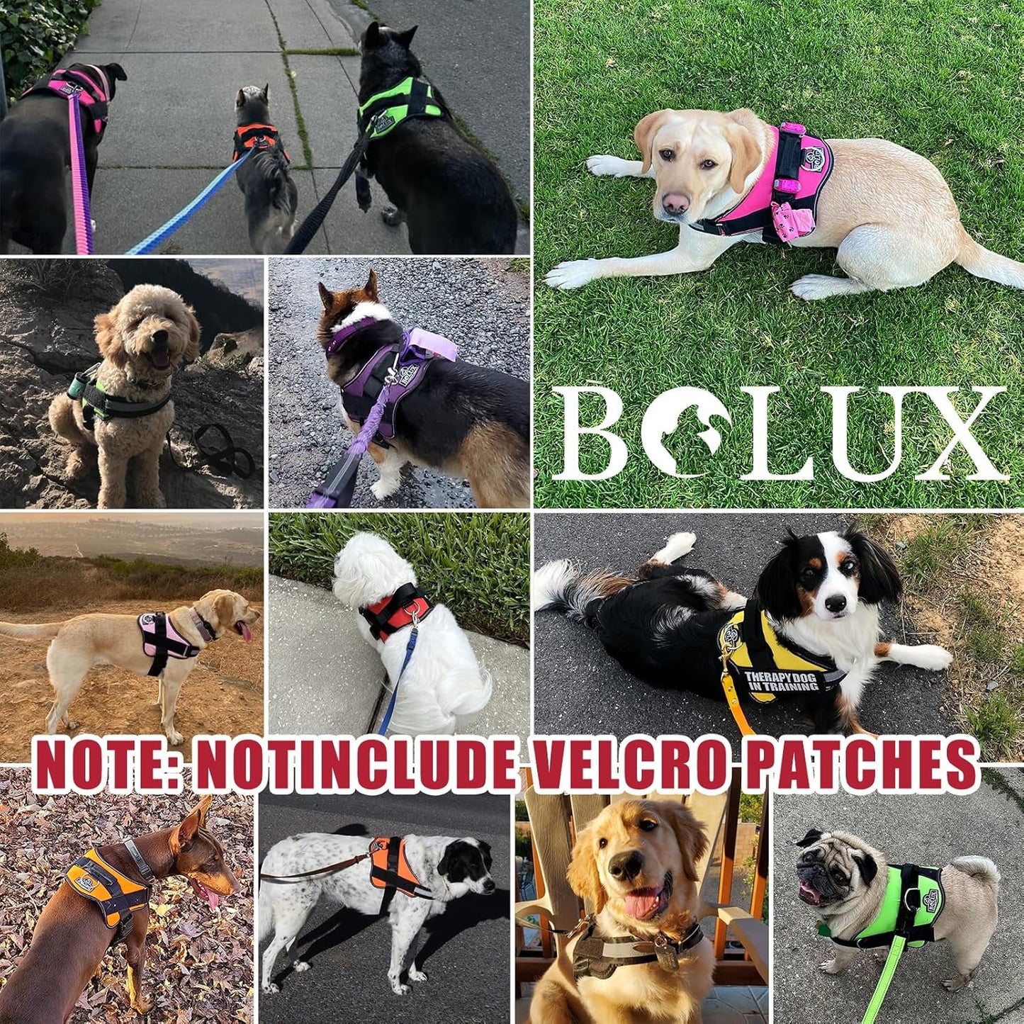 Bolux Dog Harness, No-Pull Reflective Dog Vest, Breathable Adjustable Pet Harness with Handle for Outdoor Walking - No More Pulling, Tugging or Choking (Flag, Small)