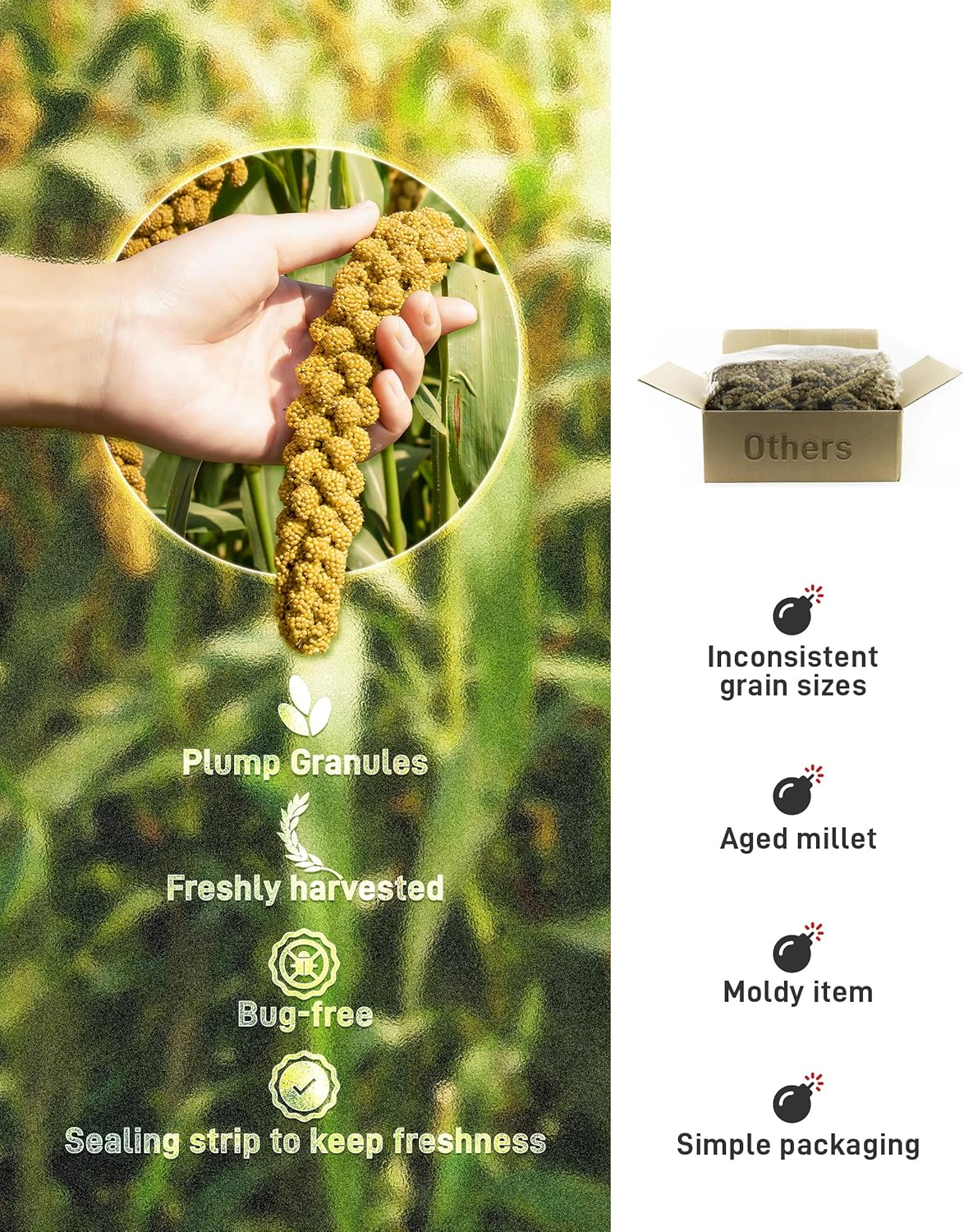 BUCATSTATE 2.2lbs Millet for Birds, Sun-Dried Parakeet Food for Parrot, Budgie, Cockatiel, Finches, Lovebird, GMO-Free Parakeet Treats (2.2lbs)