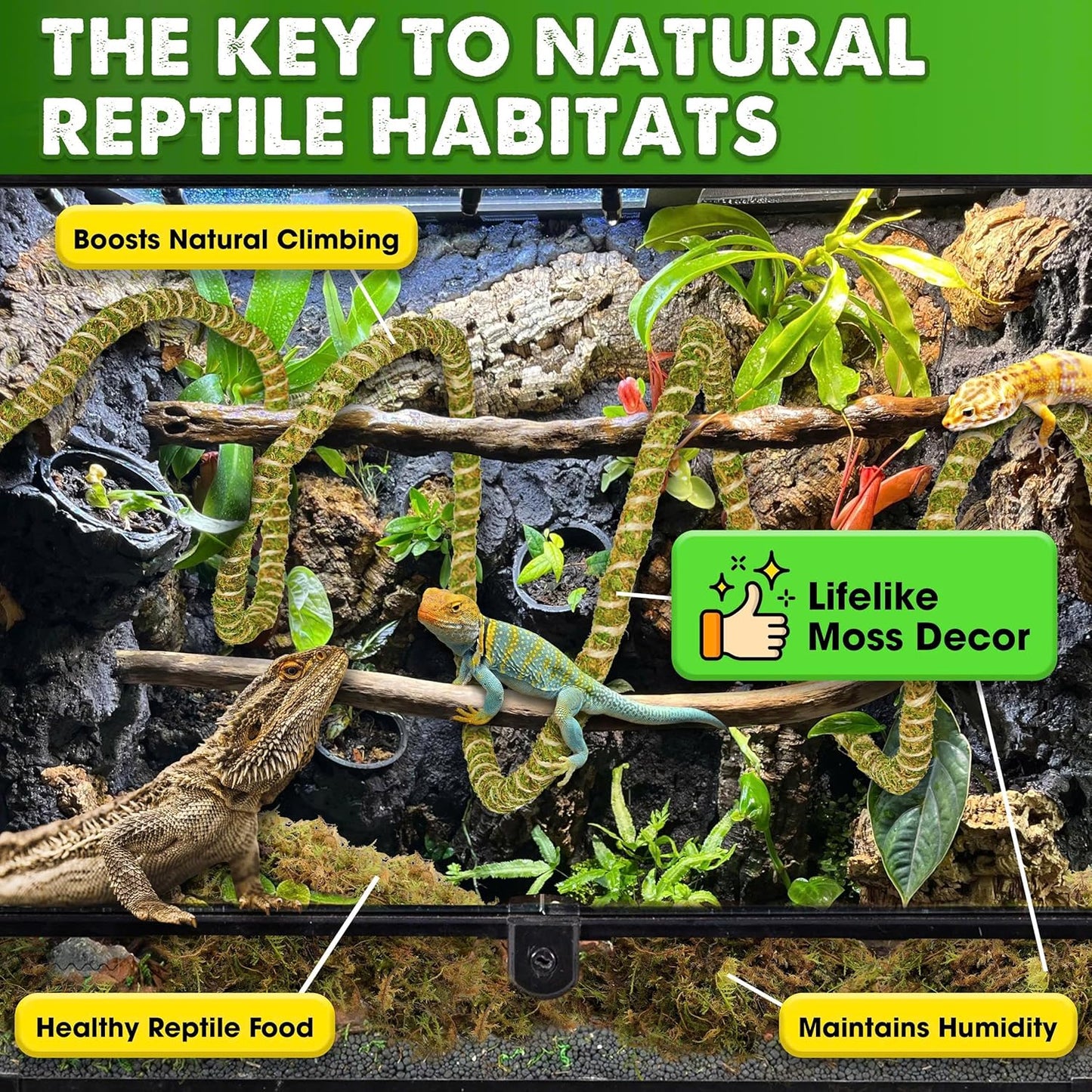 Duspro Reptile Decor Set Including 10FT Reptile Vine Climbing Bendable Branch & 04 OZ Natural Dried Forest Moss Bag Ideal for Bearded Dragon Chameleon Snake Gecko Lizard Terrarium Tank Accessories